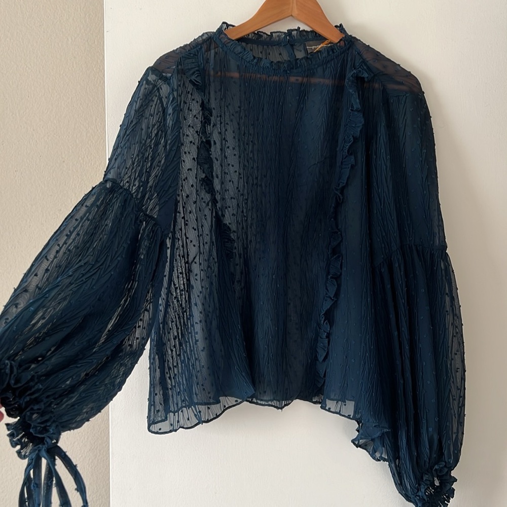 Jane Plus One Long Sleeve Blouse | Dark Teal | Sheer | size M